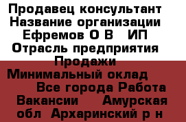 Продавец-консультант › Название организации ­ Ефремов О.В., ИП › Отрасль предприятия ­ Продажи › Минимальный оклад ­ 22 000 - Все города Работа » Вакансии   . Амурская обл.,Архаринский р-н